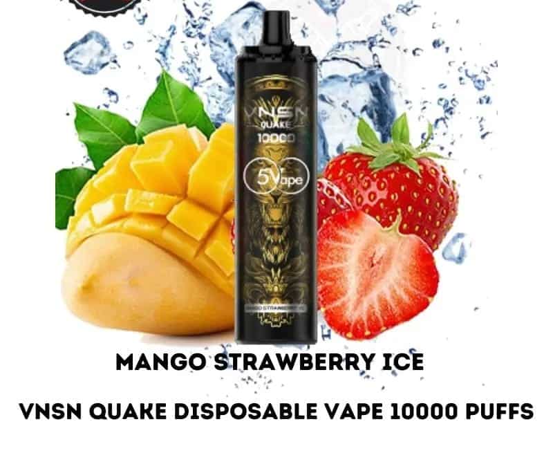 VNSN QUAKE 10000 Puffs Disposable Vape Pod